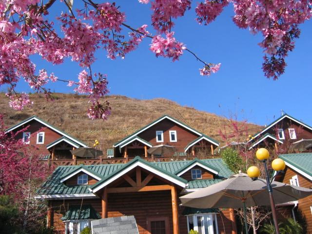 清境豐田桂林山莊民宿 Женай Екстер'єр фото